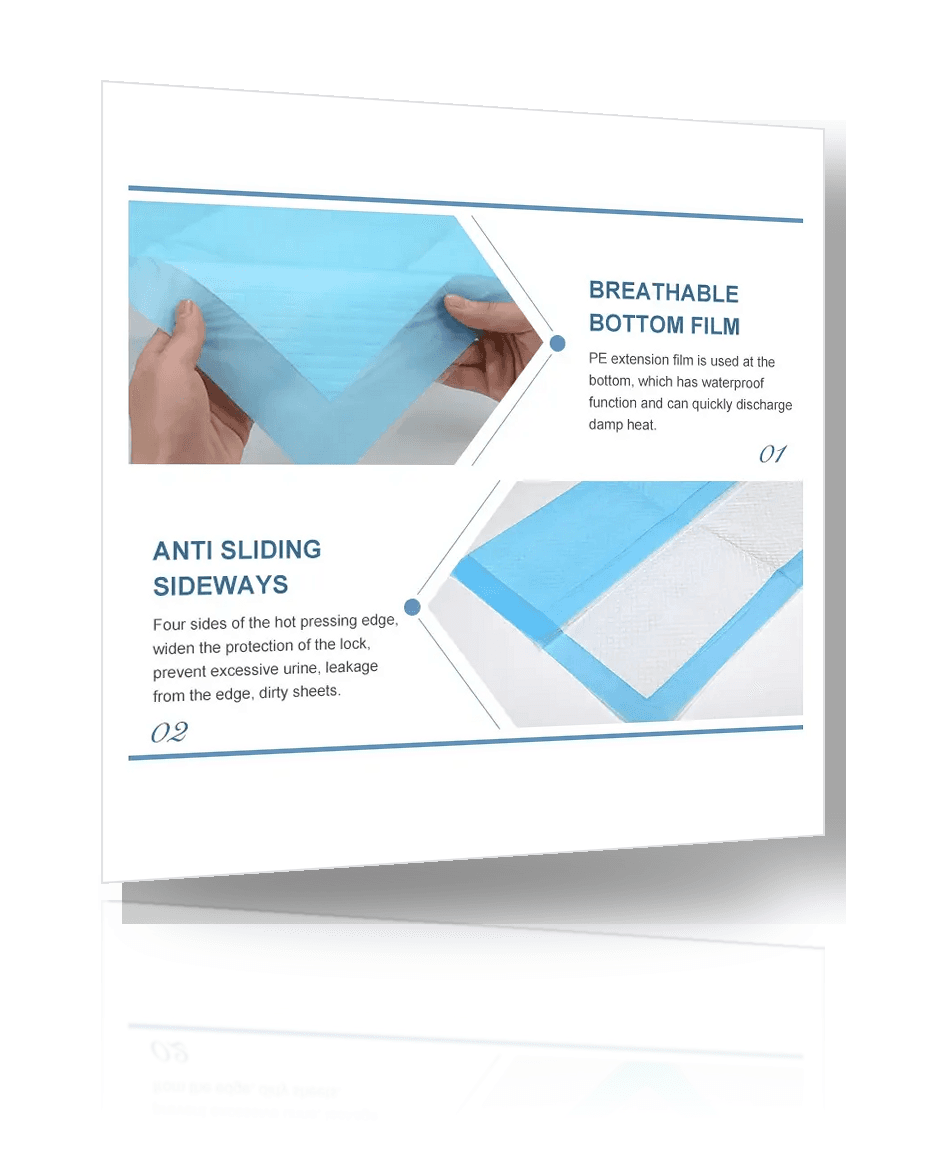 Dignity Sheet