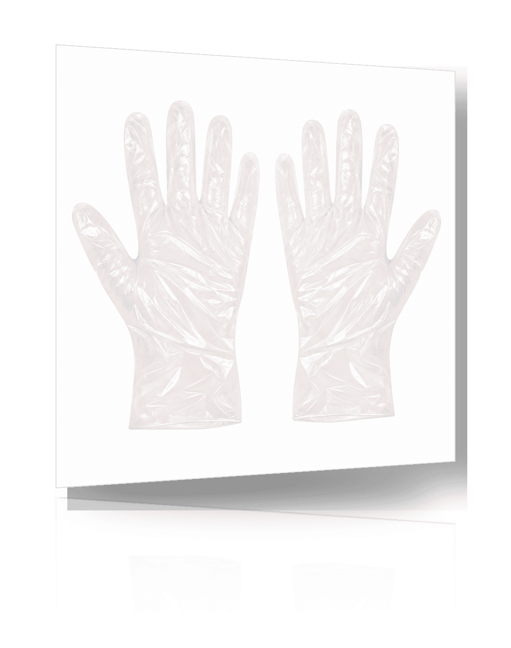 PE Gloves